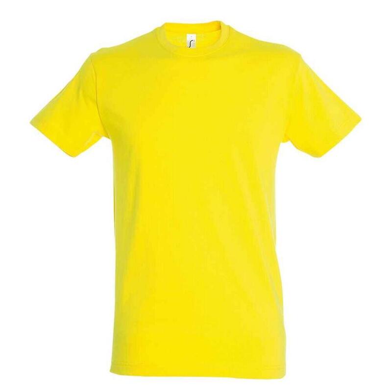 Tshirt REGENT Adulte (Citron)