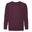 Hanorac Fruit Of The Loom Premium Copii