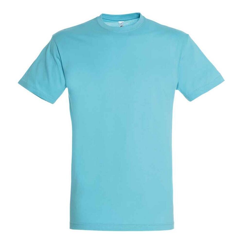 Unisex Adult Regent TShirt (Atoll Blue)