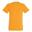 Tshirt REGENT Adulte (Abricot)