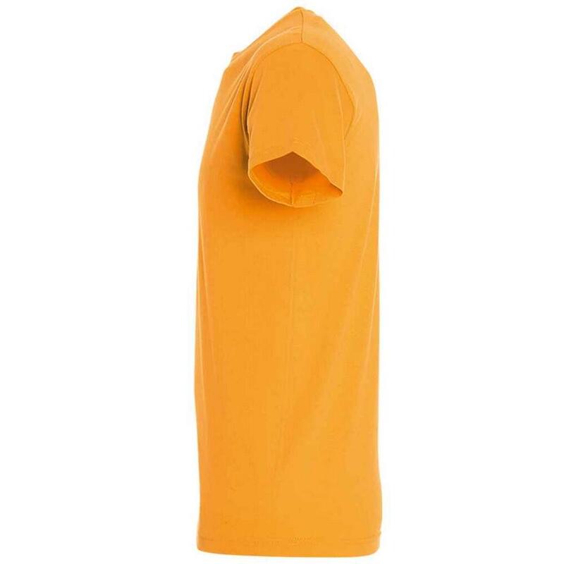 Tshirt REGENT Adulte (Abricot)