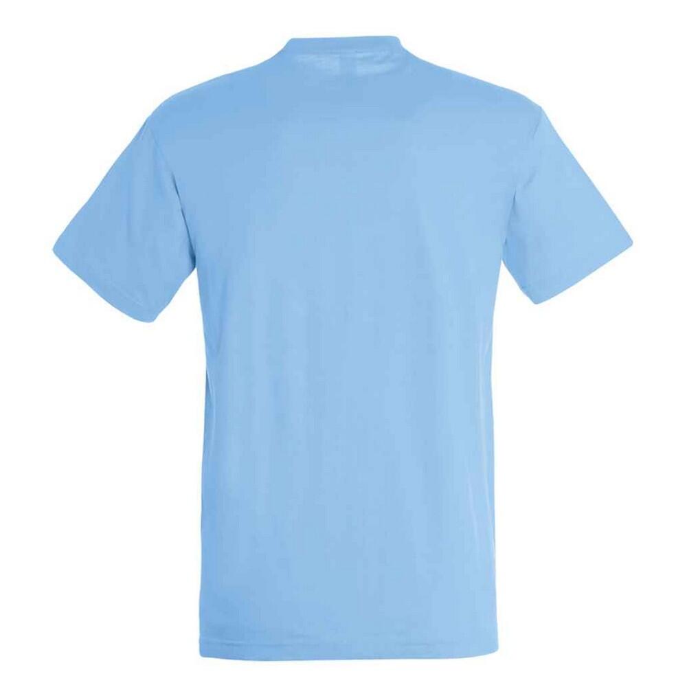 T-Shirt unissexo para adultos Regent (Azul Céu) 2/4