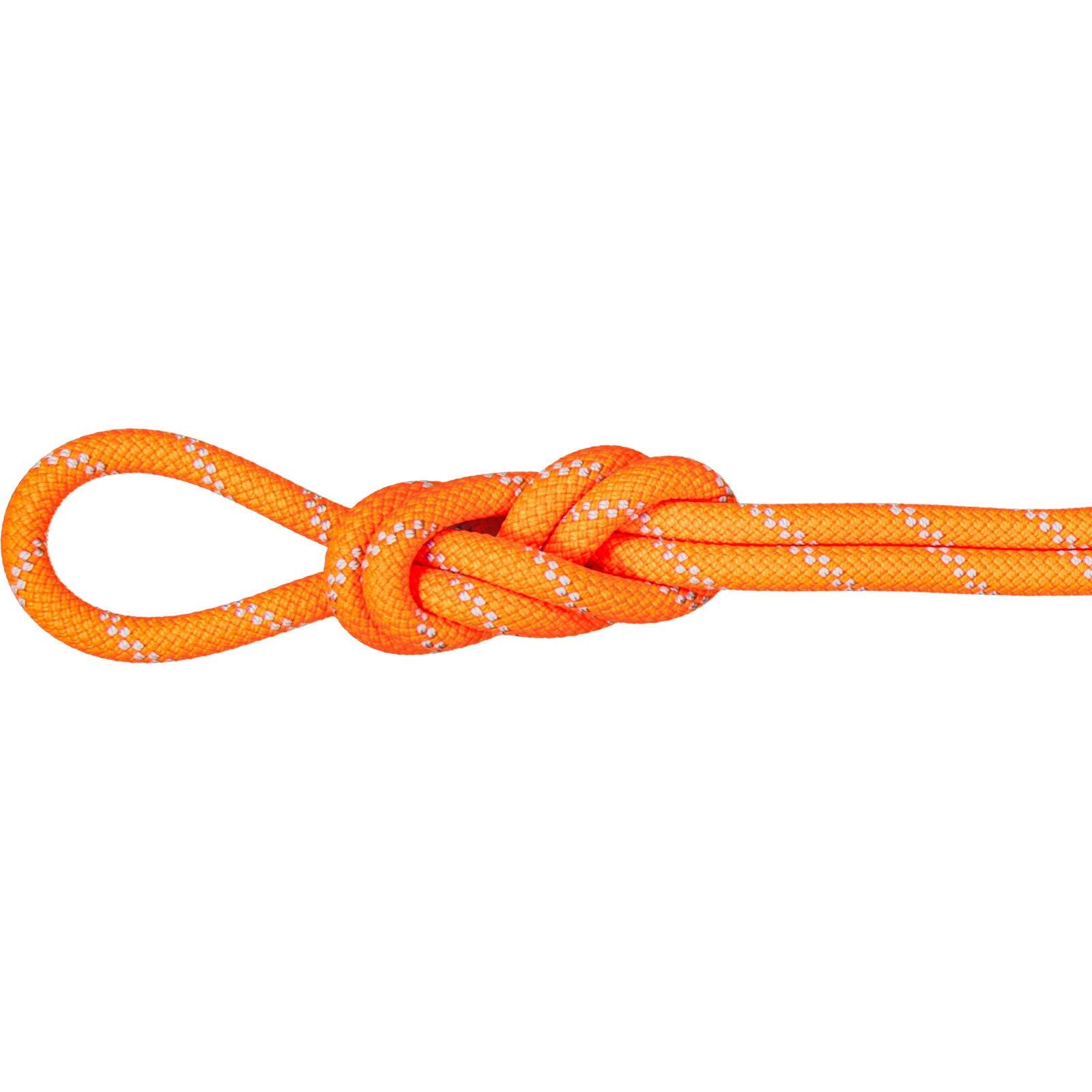 MAMMUT picture