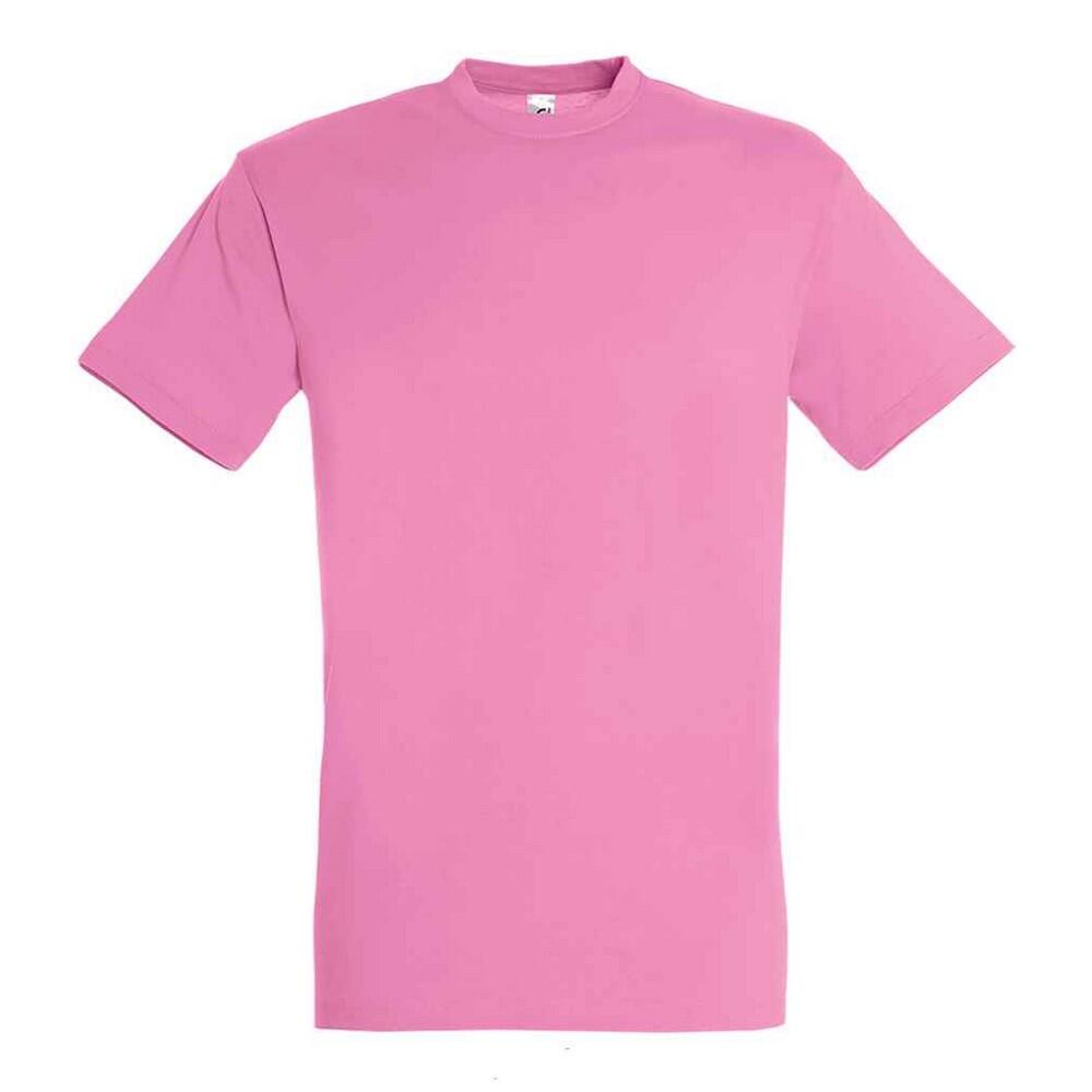 Tricou Drumeții În Natură SOLS Regent Adulți