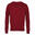 Sweat Homme (Bordeaux)