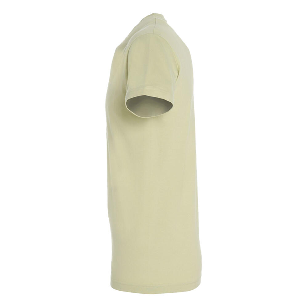 Tshirt REGENT Adulte (Vert De Gris) 3/4
