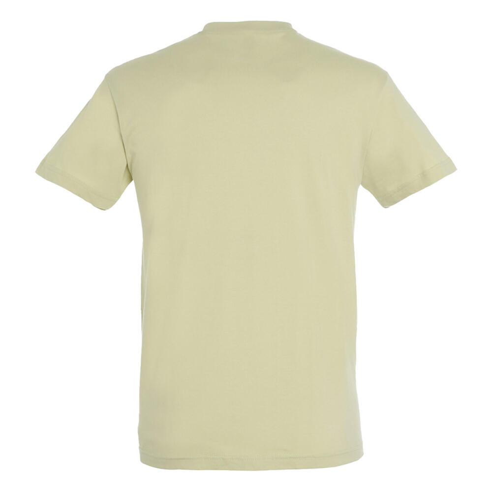 Tshirt REGENT Adulte (Vert De Gris) 2/4