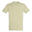 Tshirt REGENT Adulte (Vert De Gris)