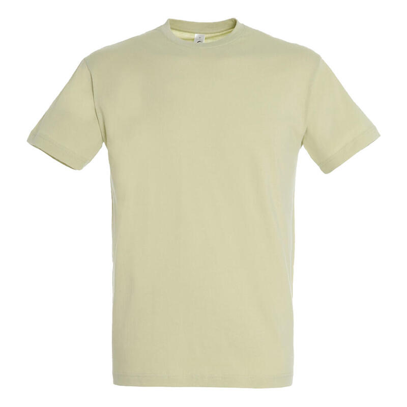 Tshirt REGENT Adulte (Vert De Gris)