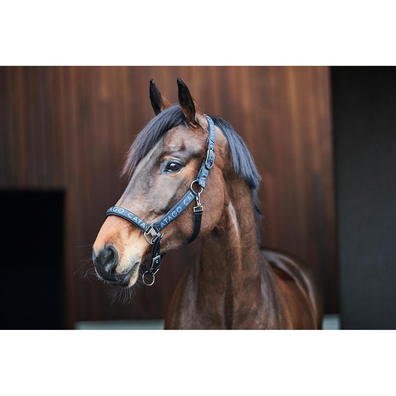 Licol pour poney Catago Alea reflective logo 3/4
