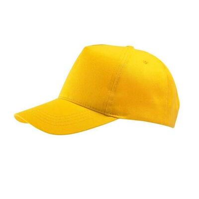 Buzz 5 paneel baseball cap (goud)