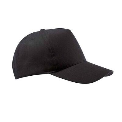 Buzz 5 paneel baseball cap (zwart)