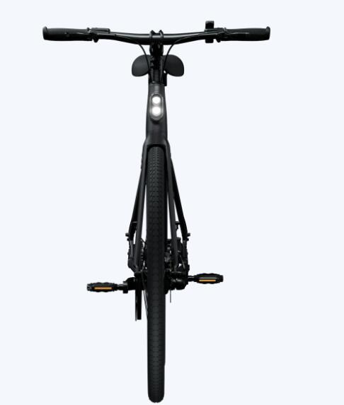 Elektro-Citybike E-Urban CGO600PRO l, schwarz 4/5