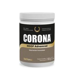 La Formule la Plus Avancée pour les Casques per chevaux