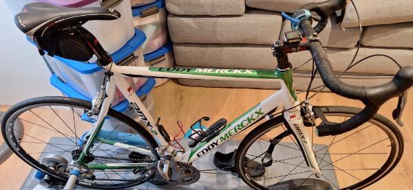 EDDY MERCKX picture