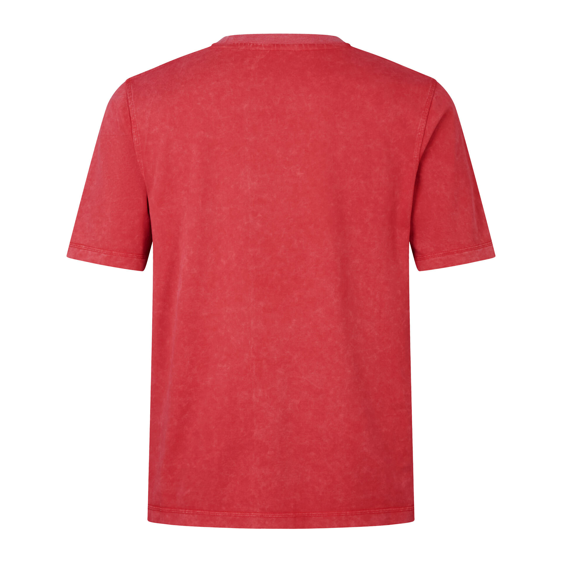 British & Irish Lions 2025 Mens Heritage Rugby T-Shirt 2/5
