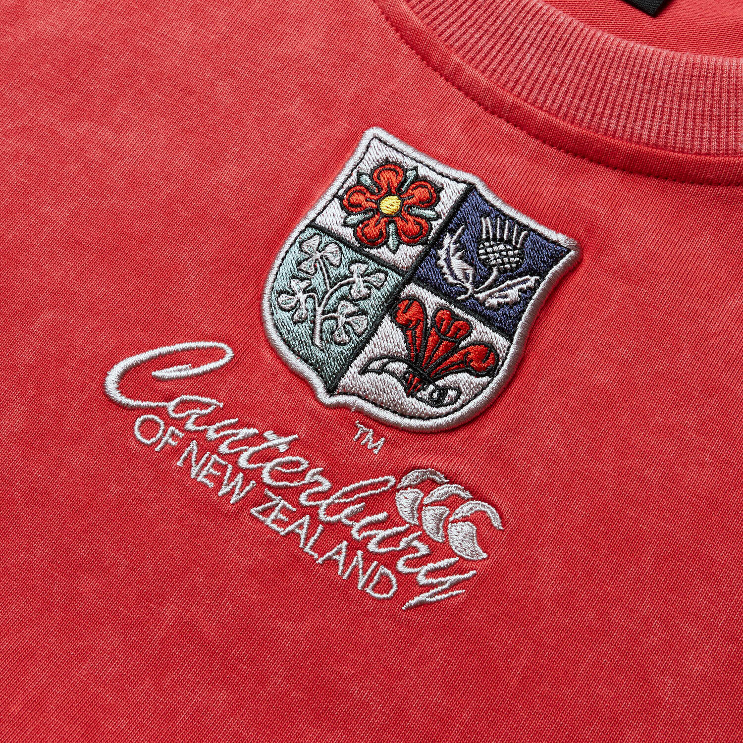 British & Irish Lions 2025 Mens Heritage Rugby T-Shirt 3/5