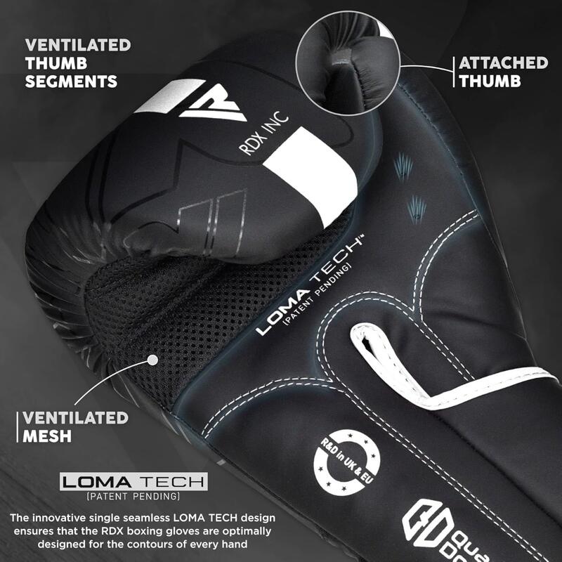 Gants de Boxe Rex F6