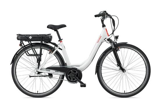 E-Bike RC890 28 Zoll 7-Gang Pedelec City Elektrofahrrad Mittelmotor unisex weiß