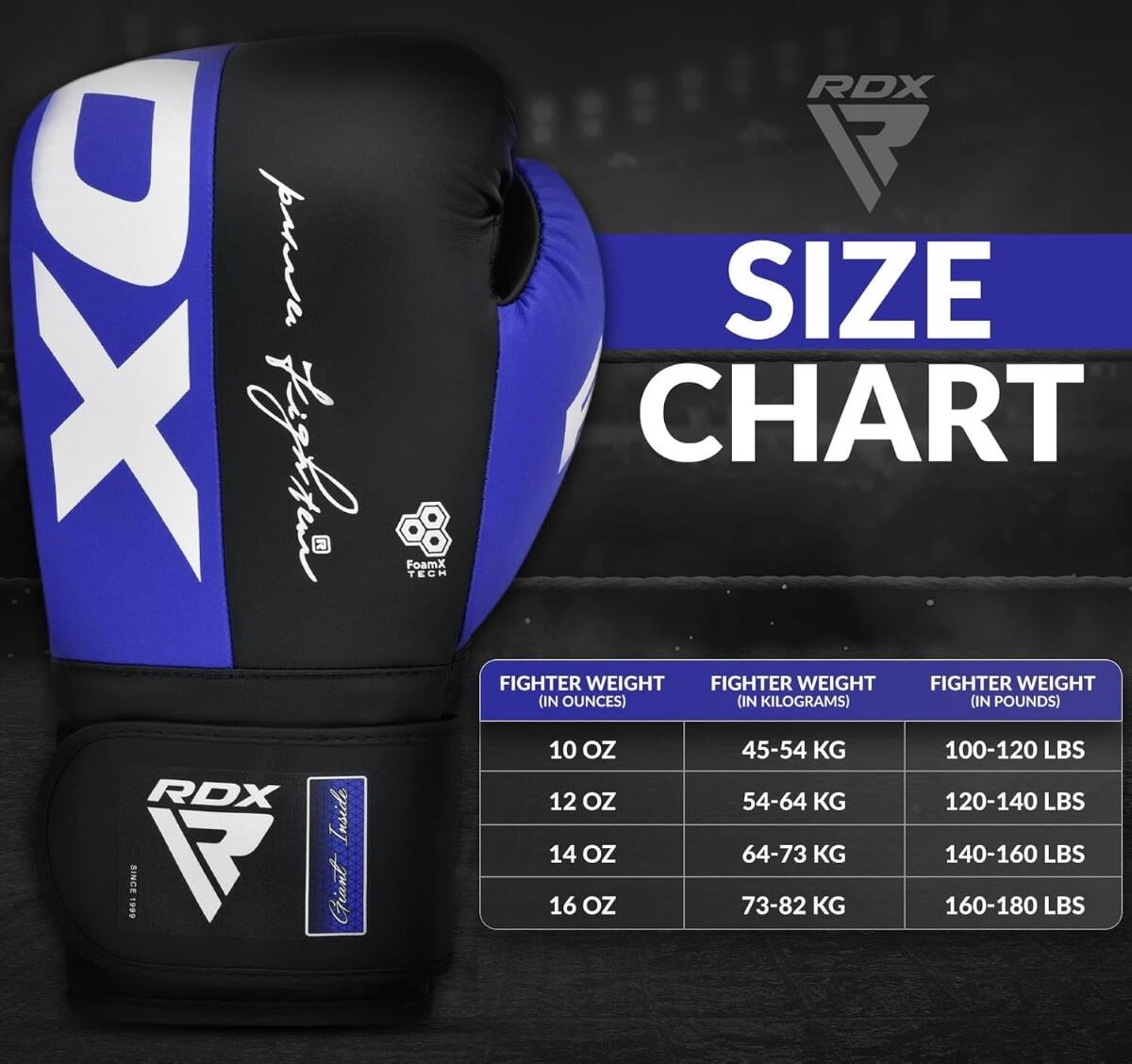 Boxing Gloves REX F4 5/5