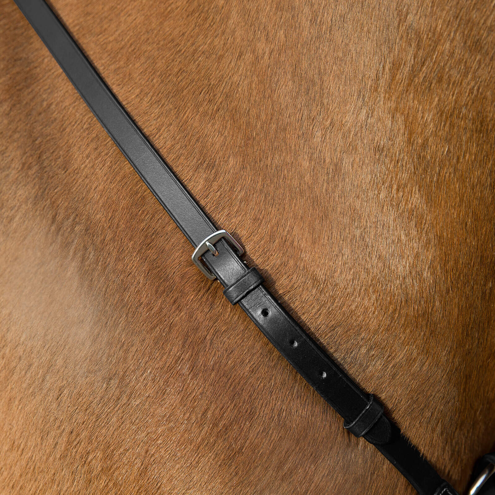 Adjustable hunting collar for horses Horze 5/5