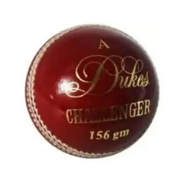 Red leather training and club cricket ball