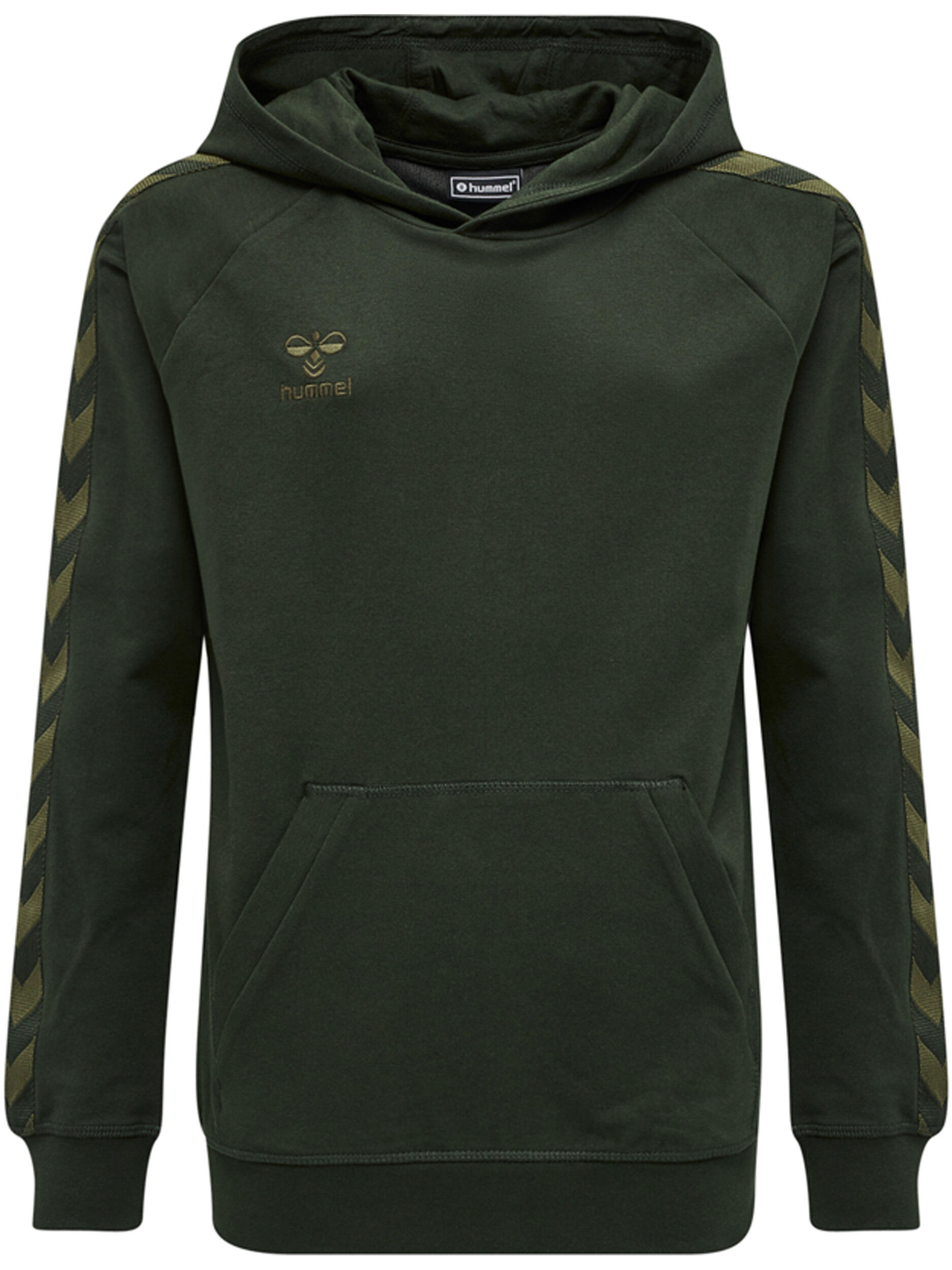 verde muschio / marrone / marrone