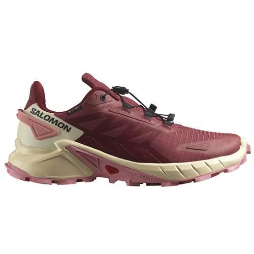 Buty do biegania damskie Salomon Supercross 4 Gtx