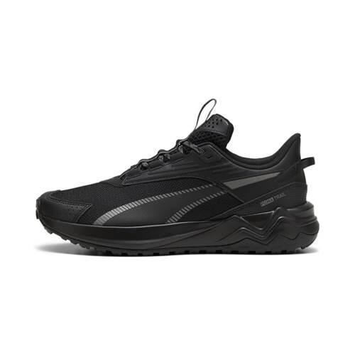 PUMA picture