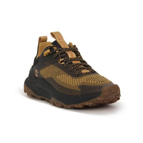 Scarpe Uomo Timberland Motion Access marrone 2/6