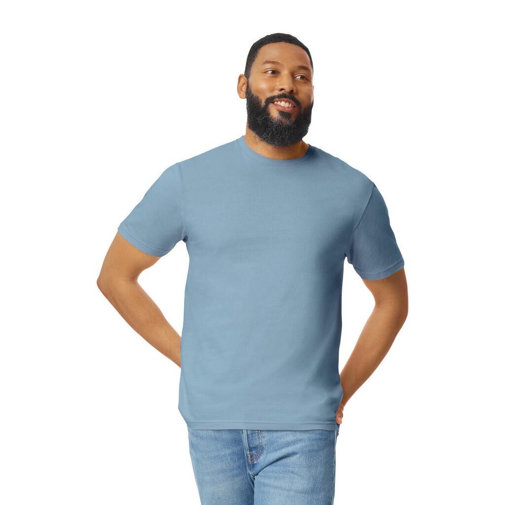 Unisex Adult Softstyle Plain Cotton TShirt (Stone Blue)