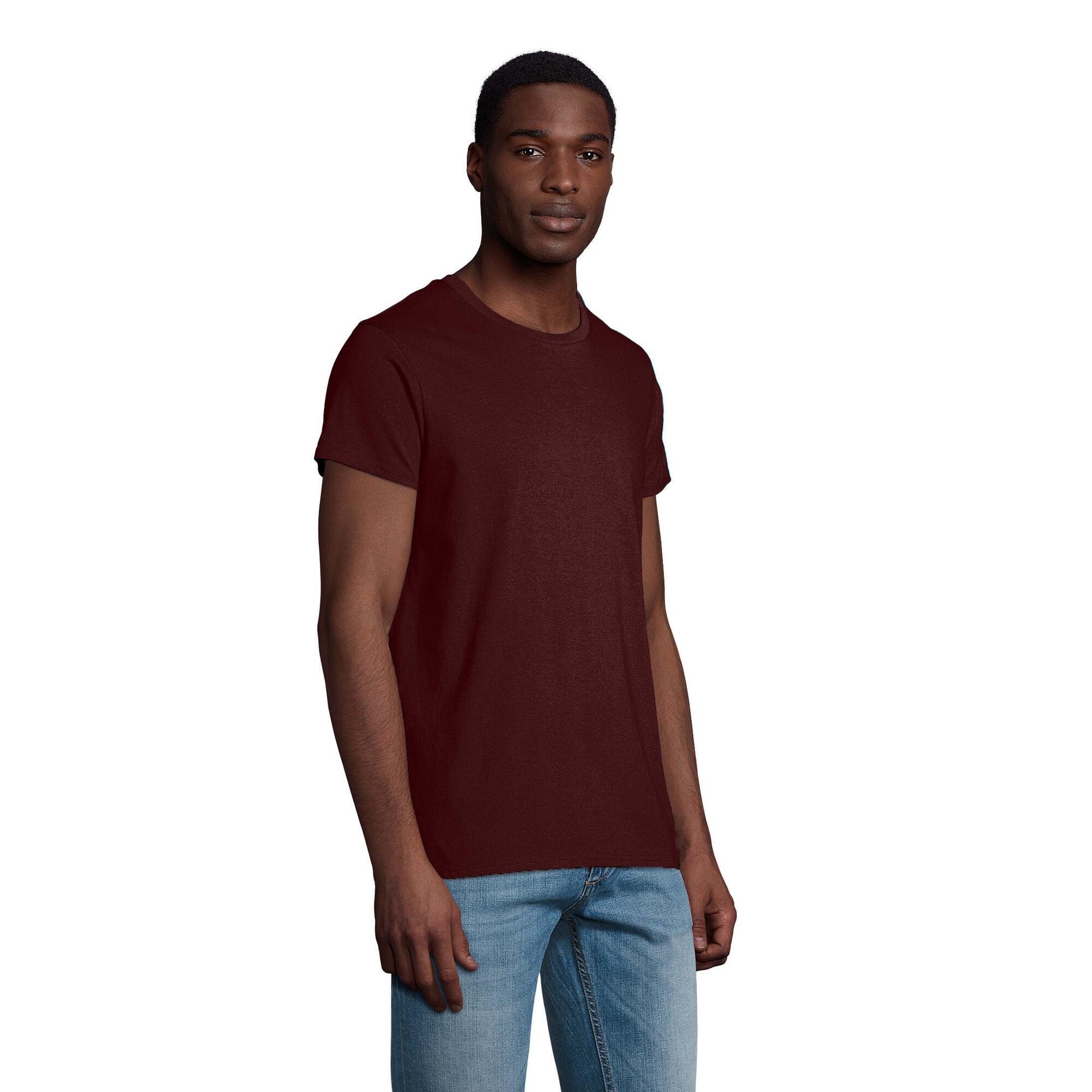 Tshirt CRUSADER Homme (Bordeaux) 3/4