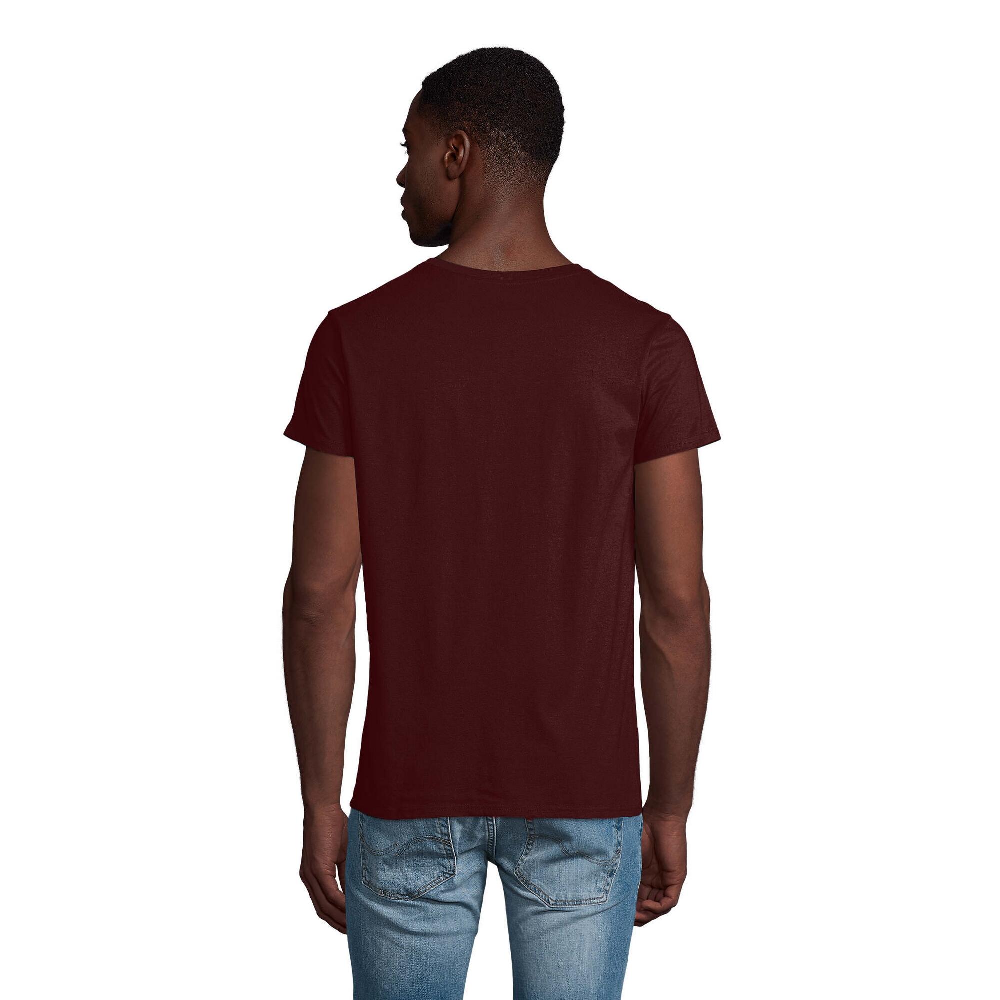 Tshirt CRUSADER Homme (Bordeaux) 2/4