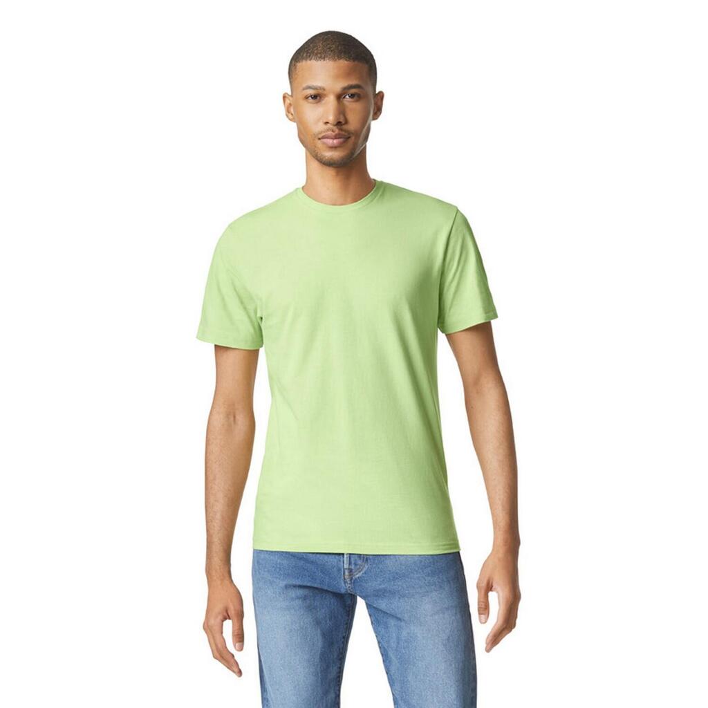 Unisex Adult Softstyle Plain Cotton TShirt (Pistachio)