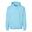 Unisex mikina s kapucí Softstyle Midweight pro dospělé