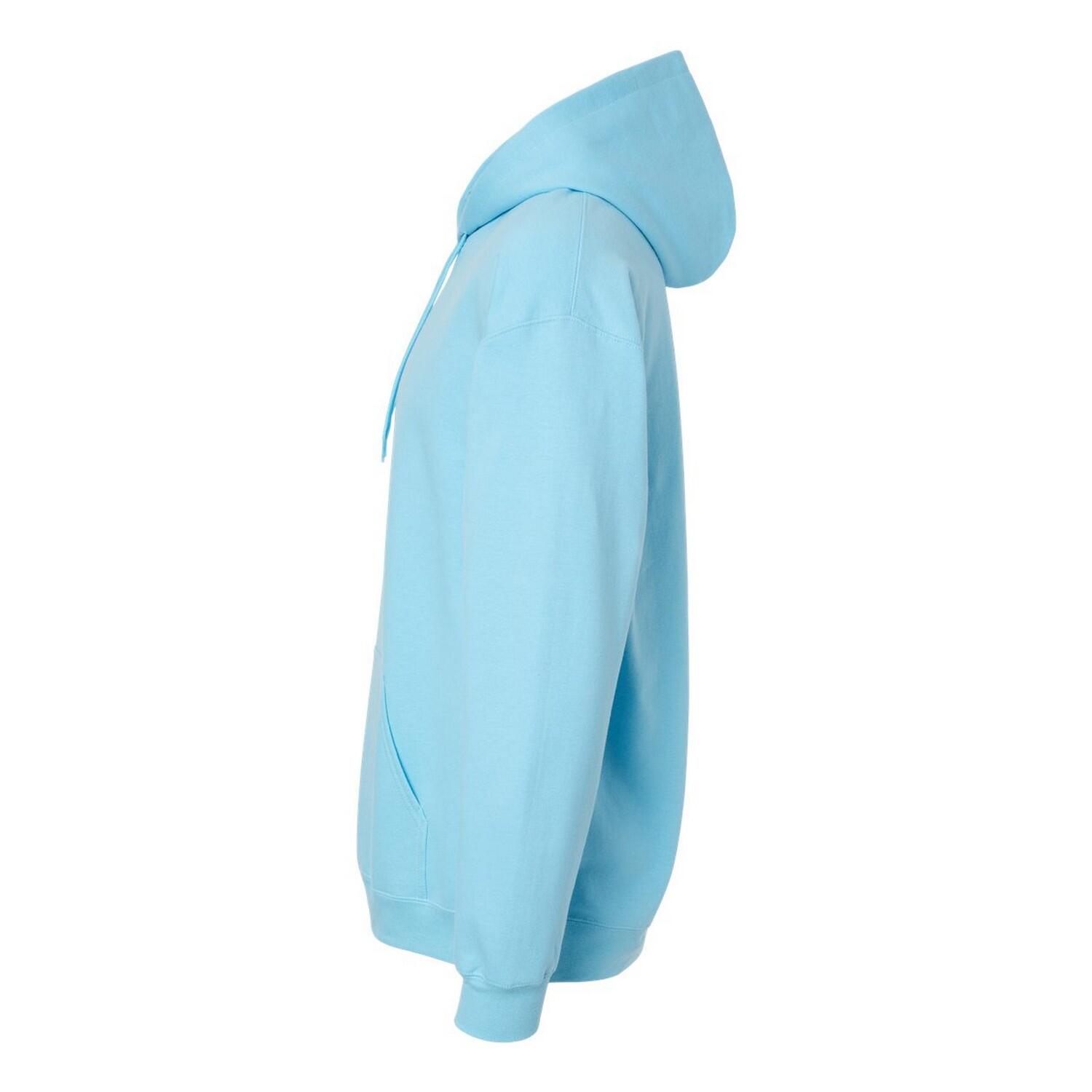 Sweat À Capuche SOFTSTYLE Adulte (Ciel) 3/3
