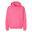 Unisex mikina s kapucí Softstyle Midweight pro dospělé