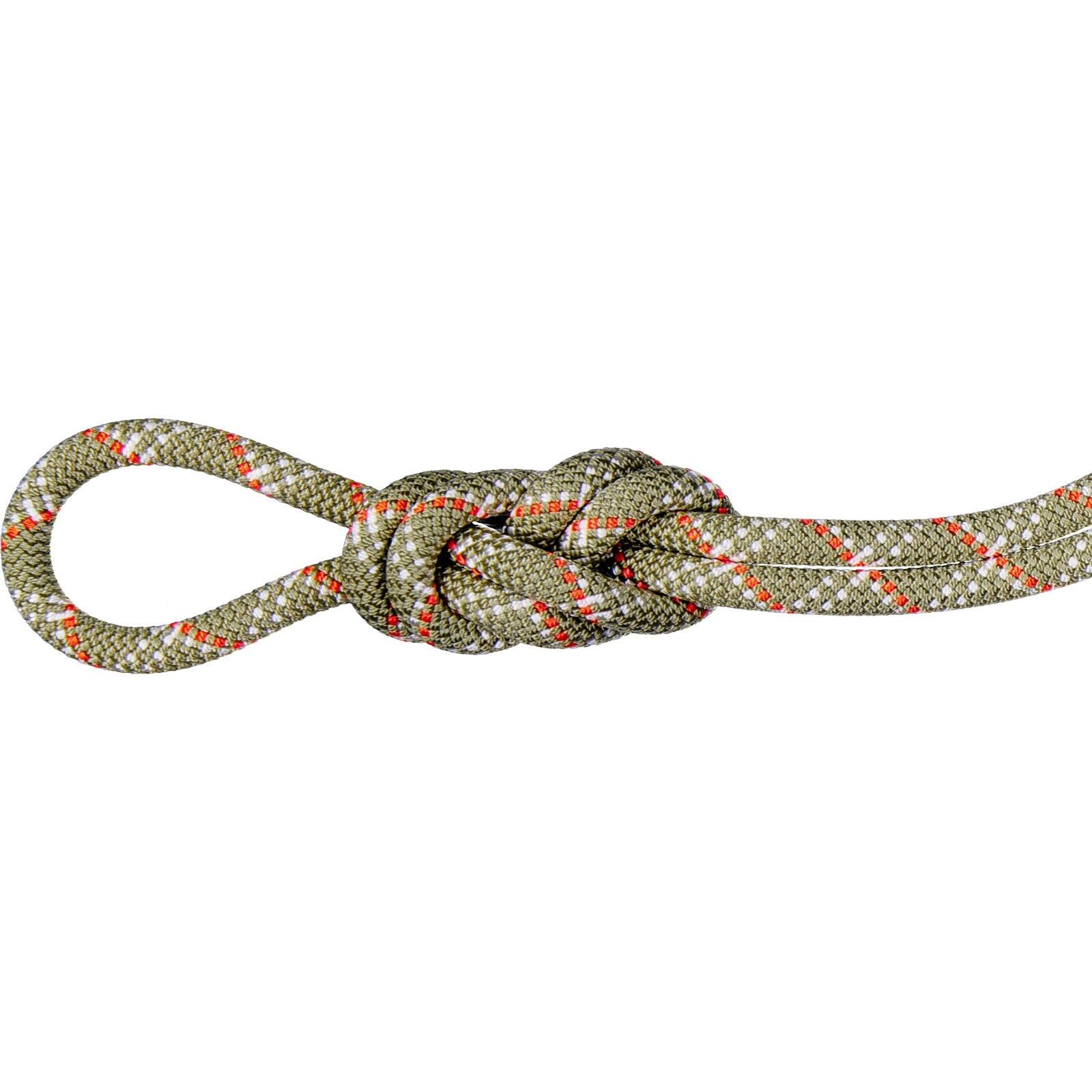 MAMMUT picture