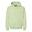 Unisex mikina s kapucí Softstyle Midweight pro dospělé