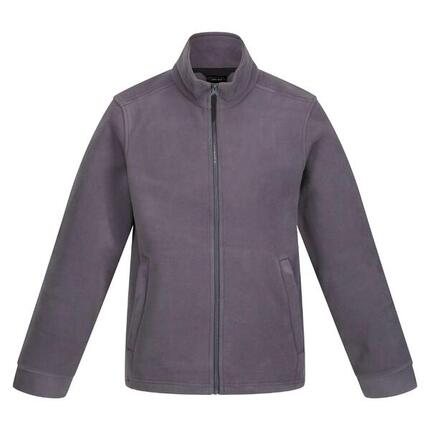 250 Veste Polaire Classique Homme (Gris)