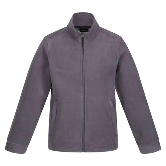 250 Veste Polaire Classique Homme (Gris)