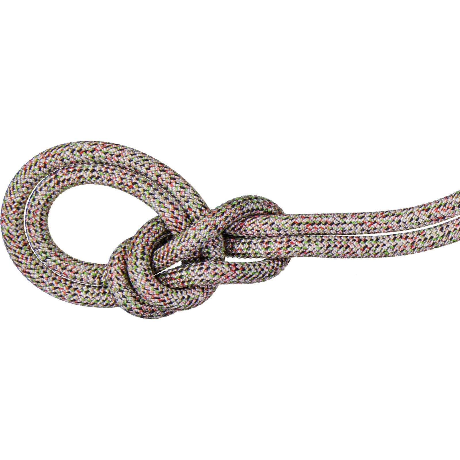 MAMMUT picture