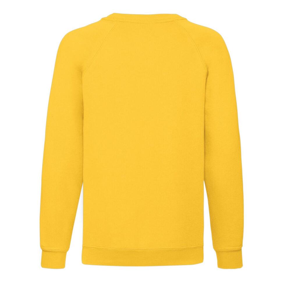 Bluza Dziecięca Classic Raglan