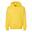 Unisex mikina s kapucí Softstyle Midweight pro dospělé