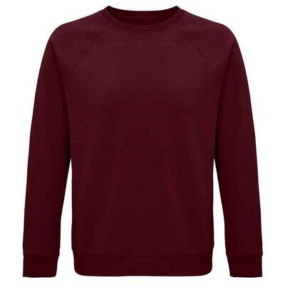 Uniseks ruimte sweatshirt voor volwassenen (bourgondië)