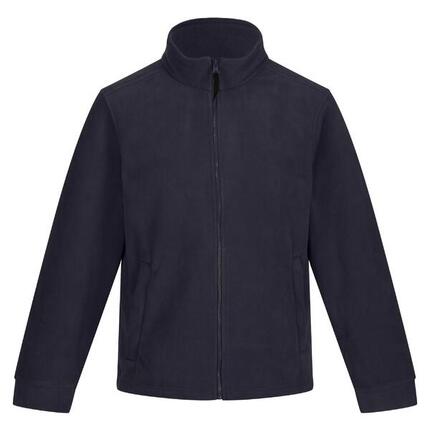 250 Veste Polaire Classique Homme (Gris)