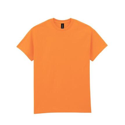 Tshirt Adulte (Gris Clair Pâle Uni)