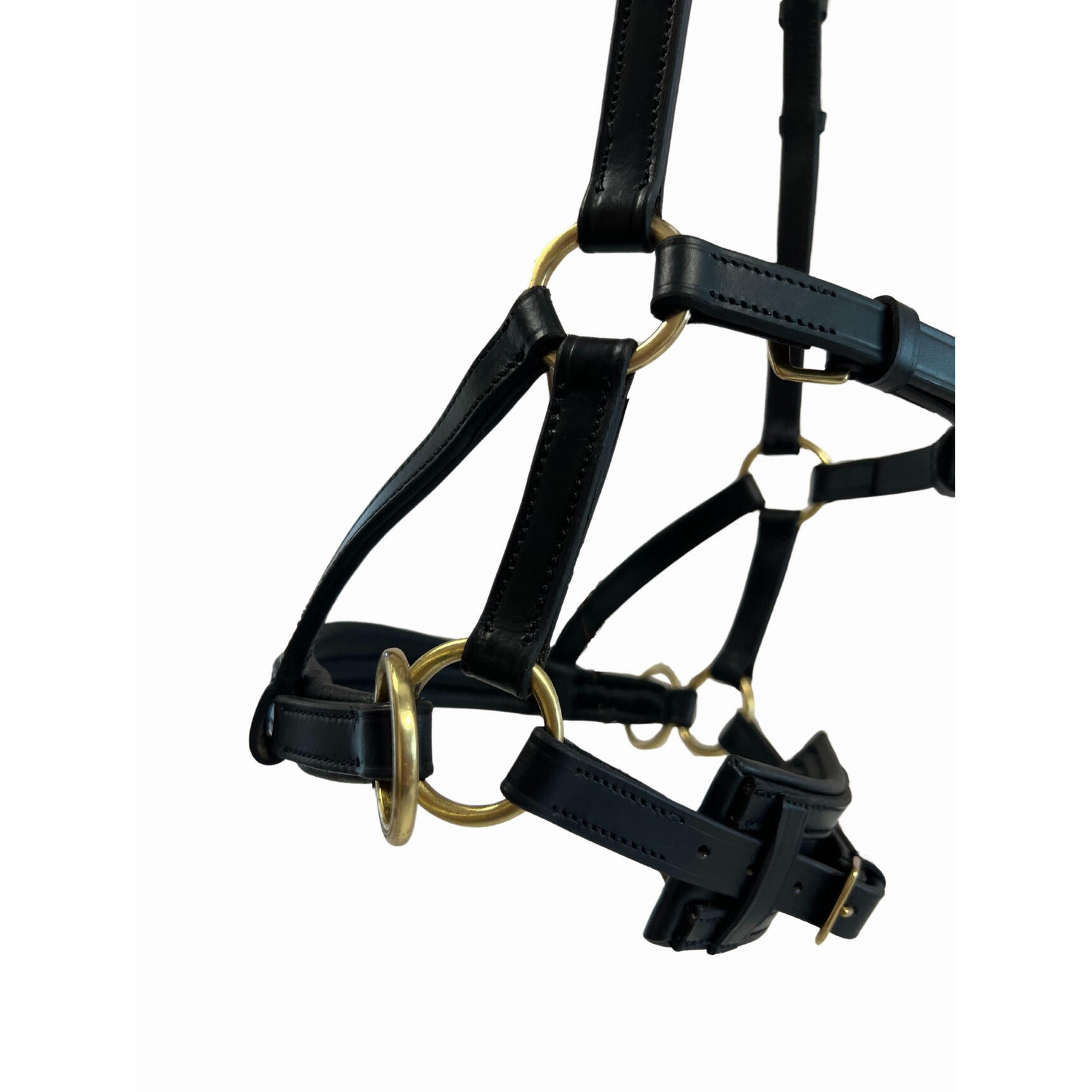 Brida sin bocado para caballo de cuero T de T Sidepull 3/3