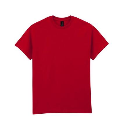 Tshirt Adulte (Gris Clair Pâle Uni)