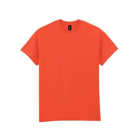 Tshirt Adulte (Gris Clair Pâle Uni)